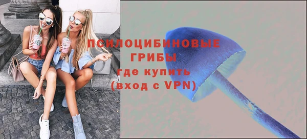 ECSTASY Нязепетровск