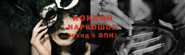 шишки Новодвинск