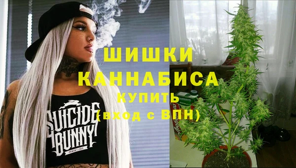 шишки Новодвинск