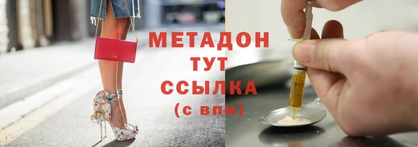 шишки Новодвинск