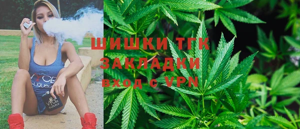шишки Новодвинск