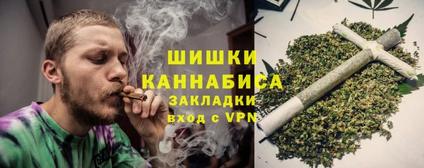 трава Няндома