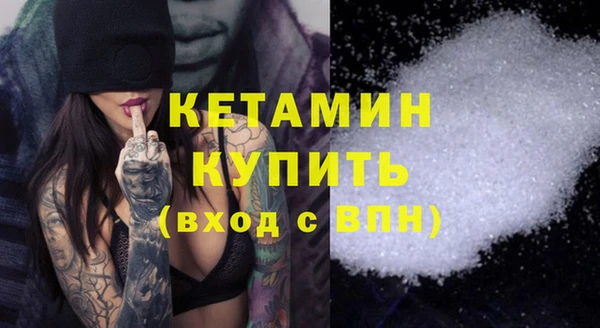 шишки Новодвинск