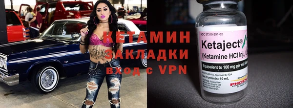 шишки Новодвинск