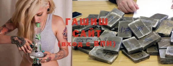 шишки Новодвинск