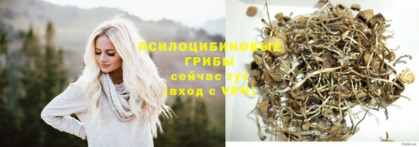 хмурый Нягань