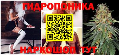 тгк Будённовск