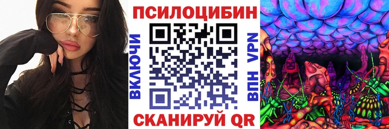 Псилоцибиновые грибы Psilocybine cubensis Воронеж