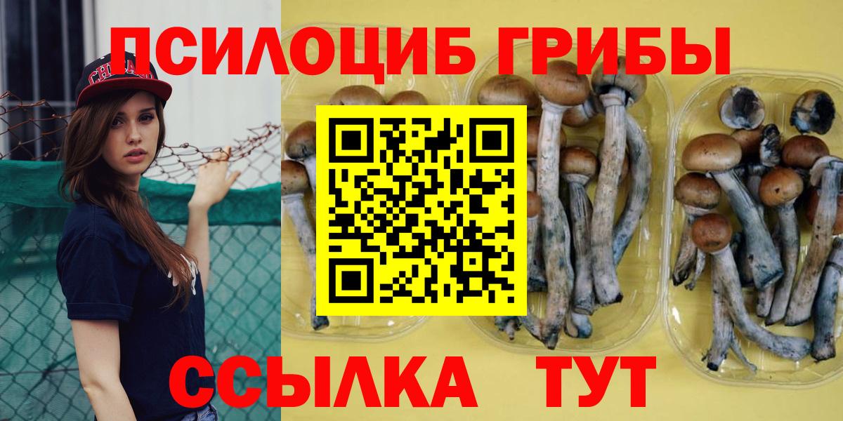 Псилоцибиновые грибы Psilocybine cubensis  Воронеж 