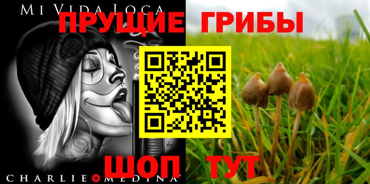 Галлюциногенные грибы Cubensis Воронеж