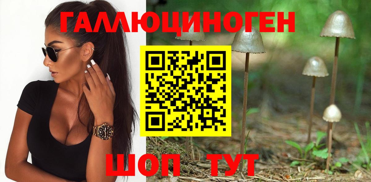 Псилоцибиновые грибы прущие грибы Воронеж