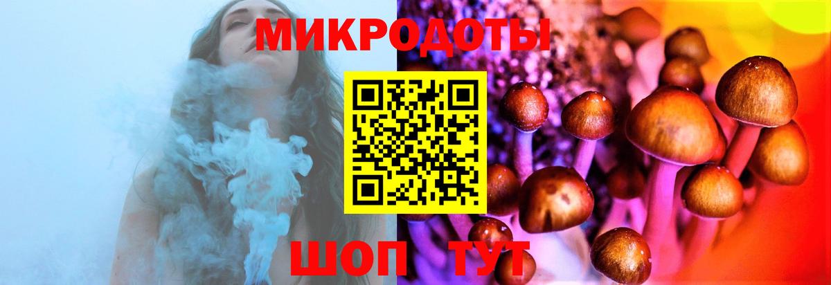 Воронеж  Галлюциногенные грибы прущие грибы  Вход с VPN 